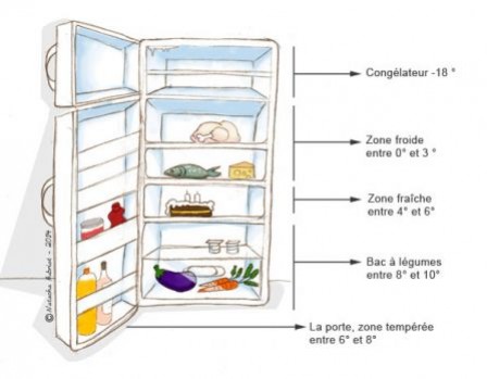 Rangement des aliments selon les zones de froid de votre frigo